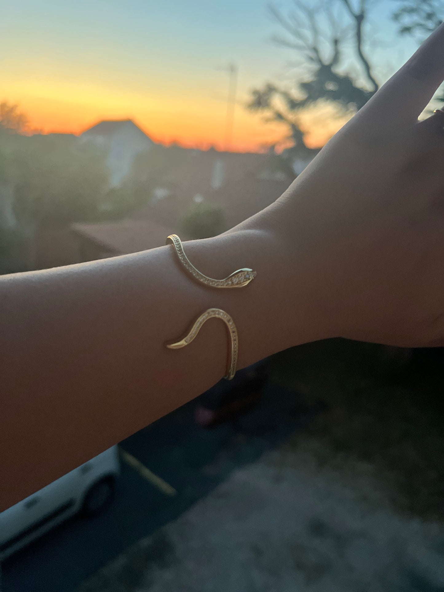 Jonc Snake